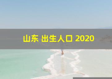 山东 出生人口 2020